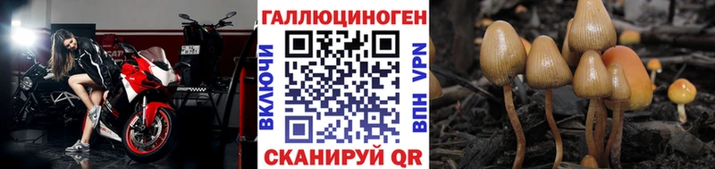 Псилоцибиновые грибы Magic Shrooms  блэк спрут маркетплейс  Железногорск-Илимский 